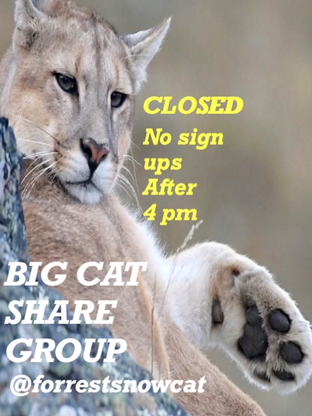 BIG CAT SHARE GROUP  TUESDAY 9/15 CLOSED